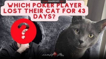 تلاش هاى ٤٣ روزه بازیکن پوکر براى پيدا كردن گربه گم شده خود